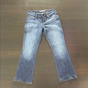 Joe's Jeans Light Blue Flare Denim